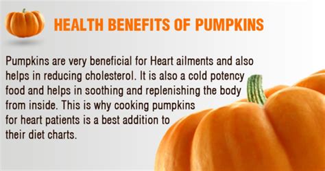 17 Effective Health Benefits Of Pumpkin My Health Only