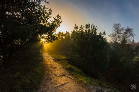 Sunrise Path By William Mevissen 500px Scenery Sunrise Nature