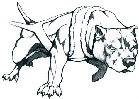 Resultado De Imagen Para Bull Terrier Dibujos Imagenes De Dibujos