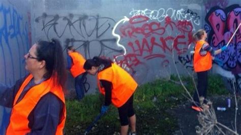 Volunteers Help Keep Graffiti Away Nz