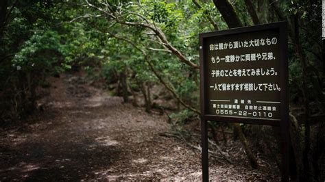 Inside Japans Suicide Forest Cnn