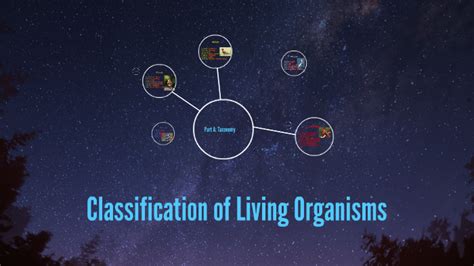 Classification Of Living Organisms By Alexia Taylor