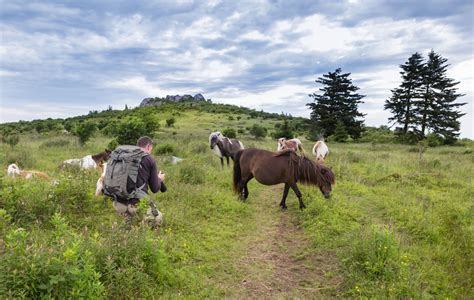 Grayson Highlands State Park Visitor and Camper Guide