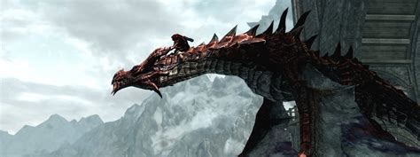 Dragon Rider At Skyrim Nexus Mods And Community