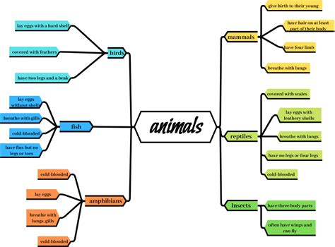Mind Map For Animals Карта ума Template