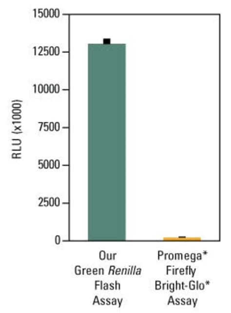 Pierce Renilla Luciferase Flash Assay Kit Thermo Fisher Scientific