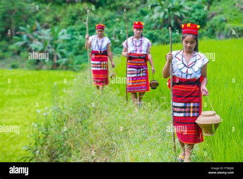 Women From Ifugao Minority Near A Rice Terraces In Banaue The