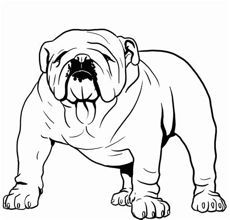 Bulldong Coloring Pages