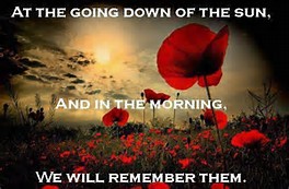 Image result for poppies for remembrance