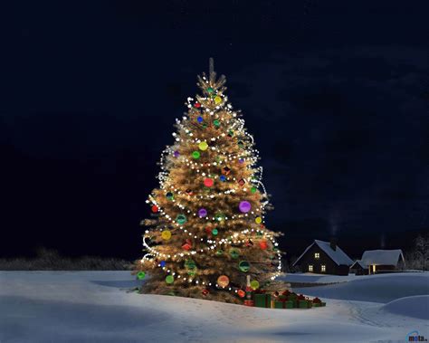 Free Download Beautiful Christmas Tree Desktop Wallpaper 1280x800 For