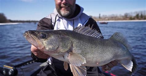 Fish The Legendary Waters Of Northwest Minnesota Explore Minnesota