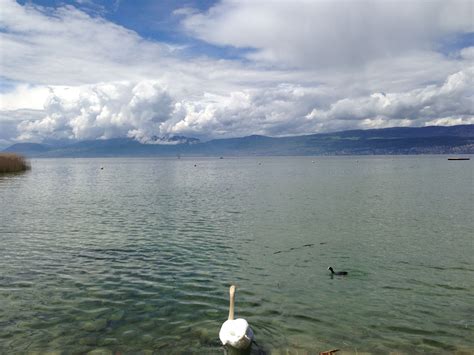 Lac De Neuchâtel Switzerland 🇨🇭 Schweiz