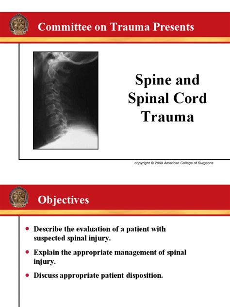 Spine And Spinal Cord Traumappt Spinal Cord Injury Spinal Cord