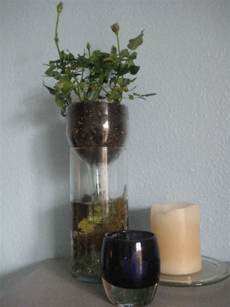 Diy Self Watering Wine Bottle Planter Gypsy Glow Knows Best