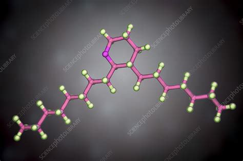 Thromboxane A2 Molecular Model Stock Image F0243148 Science