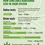 How Long Do Drugs Stay In Your Urine Chart