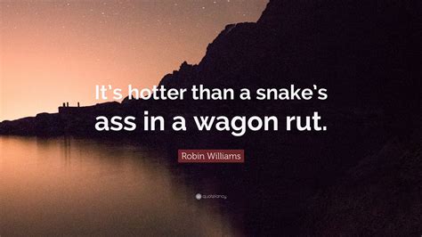 Robin Williams Quote Its Hotter Than A Snakes Ass In A Wagon Rut