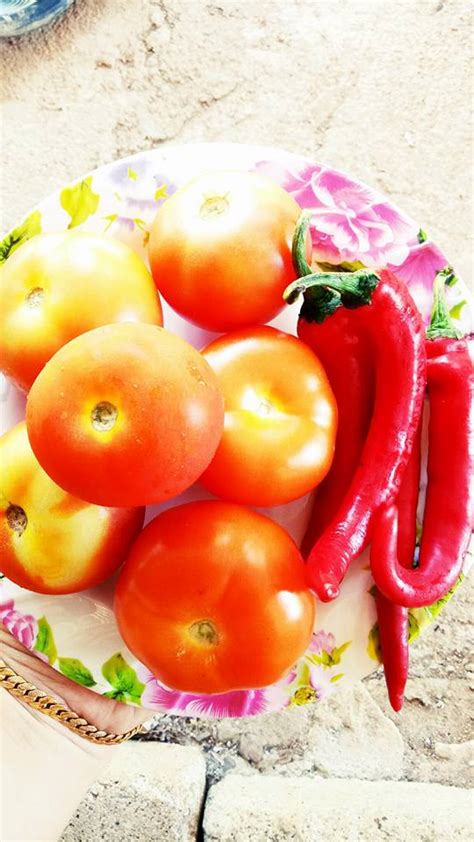 Inilah cara menentukan antara slow cooker dan pressure cooker. Resipi Sardin Jamin Bersih, Buat Sendiri Guna Pressure ...