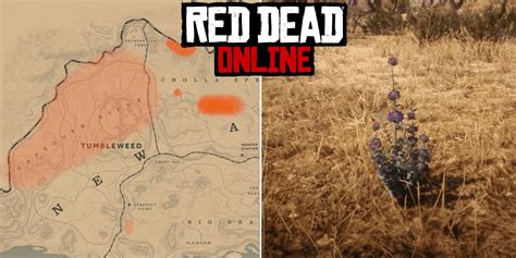 Where To Find Desert Sage In Red Dead Online