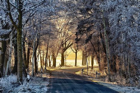 Today i am going to be going to be going over the new soleil neige first frost palette and balm frost lip balm. First frost wallpaper. Birches. Grass.