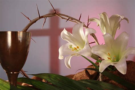 Cross Resurrection Easter Lily