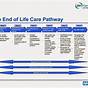 End Of Life Care Pathway Diagram