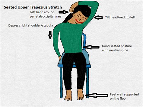 Upper Trapezius Stretch Stablemovement Physical Therapy