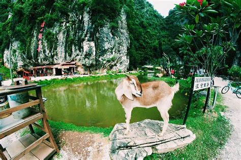 Use our ipoh itinerary planner to add qing xin ling leisure and cultural village and other attractions to your ipoh vacation plans. Discount 90% Off Qin Xin Yuan Hotel China - Hotel Near ...