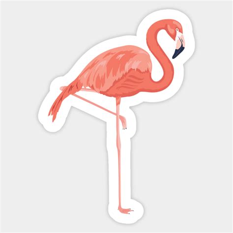 Flamingo Art Flamingo Sticker Teepublic
