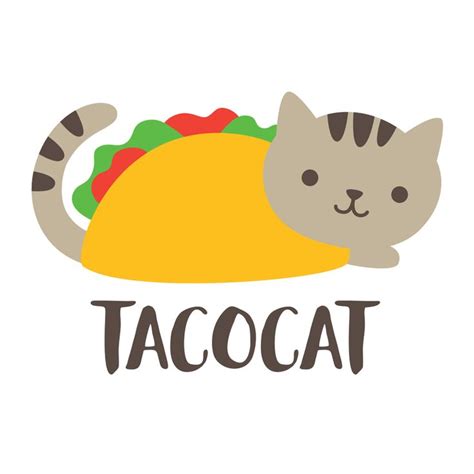 Cute Funny Taco Cat Vector Illustration Taco Cat Cat Vector Cat