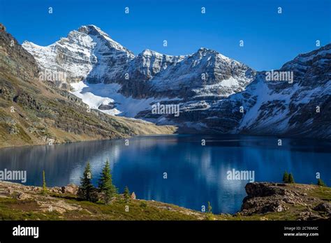 Canadian Rockies Snow Hi Res Stock Photography And Images Alamy