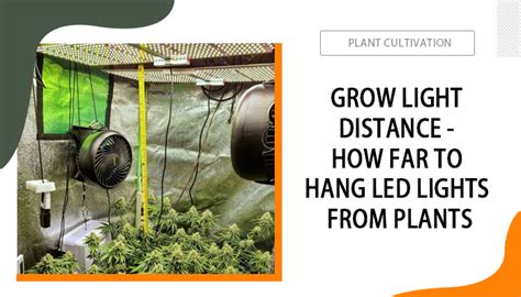 Grow Light Distance How Far To Hang Led Lights From Plants
