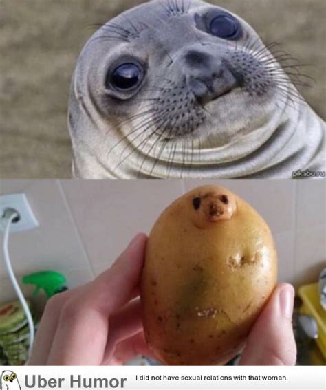 I Looked At My Potato And Funny Pictures Quotes Pics