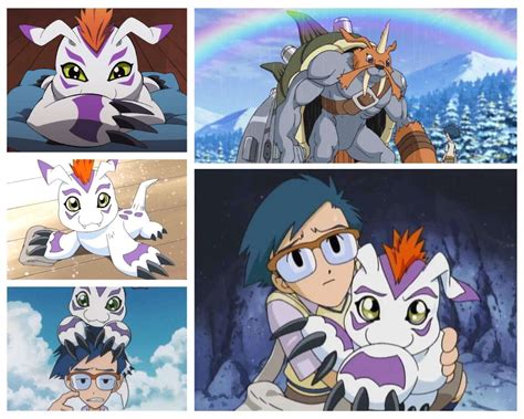 Gomamon A Comprehensive Look At The Playful Digimon
