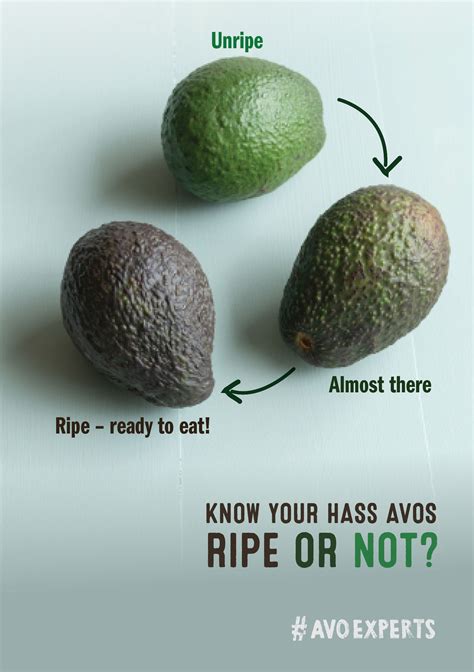 The Best How To Tell If An Avocado Is Ripe For Guacamole 2022 Myfitnesspal Blog