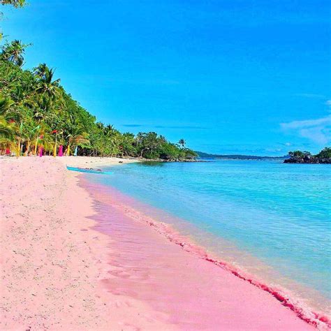 10 Best Pink Beaches In The World That You Need To Visit Previewph