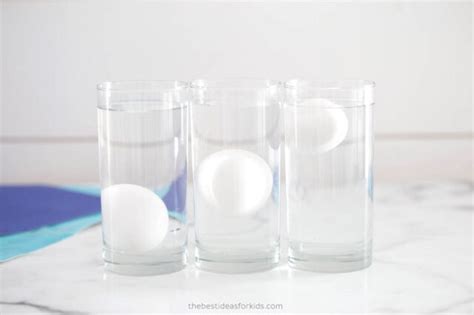 Floating Egg Experiment The Best Ideas For Kids