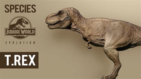 Tyrannosaurus Rex Species Profile Jurassic World Evolution Youtube