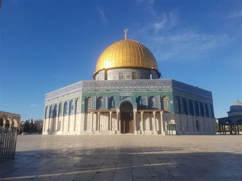 From wikimedia commons, the free media repository. 銀のモスクと呼ばれる - Al Masjid Al Aqsaの口コミ - トリップアドバイザー