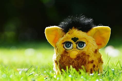 Hd Wallpaper Furby Cute Blue Eye Soft Toy Toys Children Funny