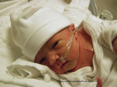 1 Month Old Premature Baby Development Newborn Baby