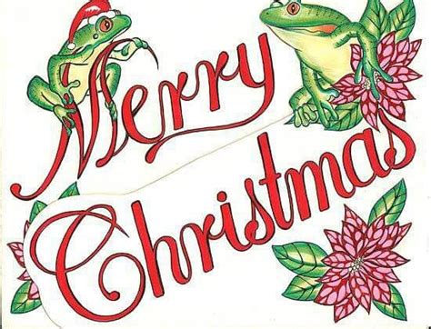 104 Best Images About Frog Holiday Picsetc On Pinterest See More