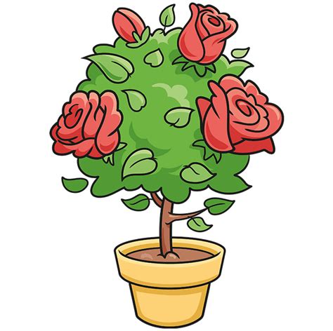 Rose Plant Drawing For Kids