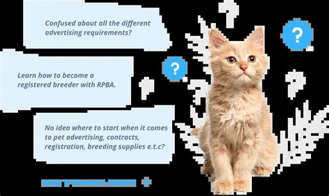 How To Become Registered Cat Breeder Responsible Pet Breeders