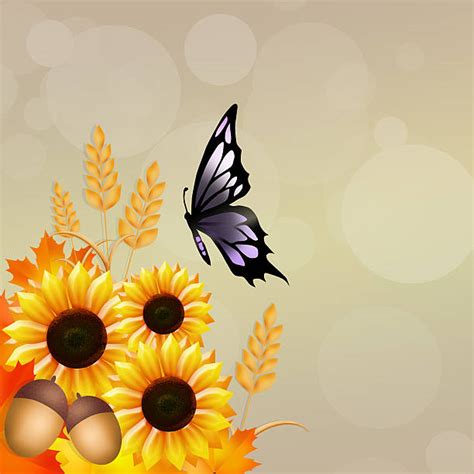 312 Clip Art Free Butterfly Sunflower Butterfly Svg Svg Png Eps Dxf File
