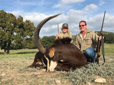 Sable Hunting 60 Species Available For Hunt Ox Ranch Texas