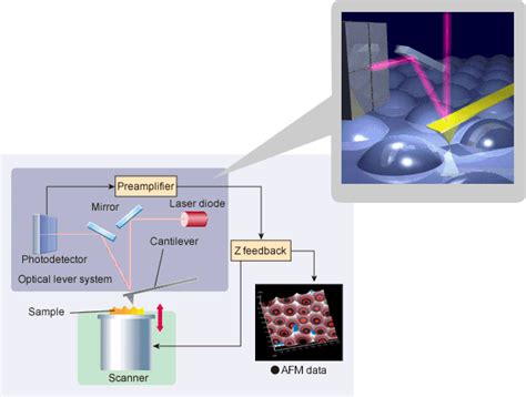 Principle Of Spm Afm Hitachi High Tech Corporation