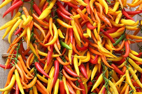 Hot Peppers Paprika Free Photo On Pixabay Pixabay