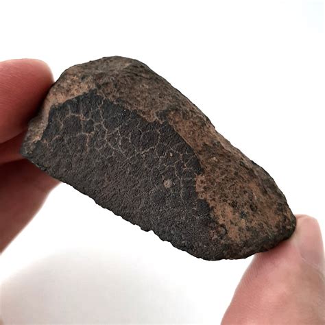 Allende Meteorite Cv3 Chondrite Endcut Meteolovers