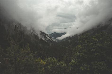 Fog Mountain Forest Royalty Free Photo